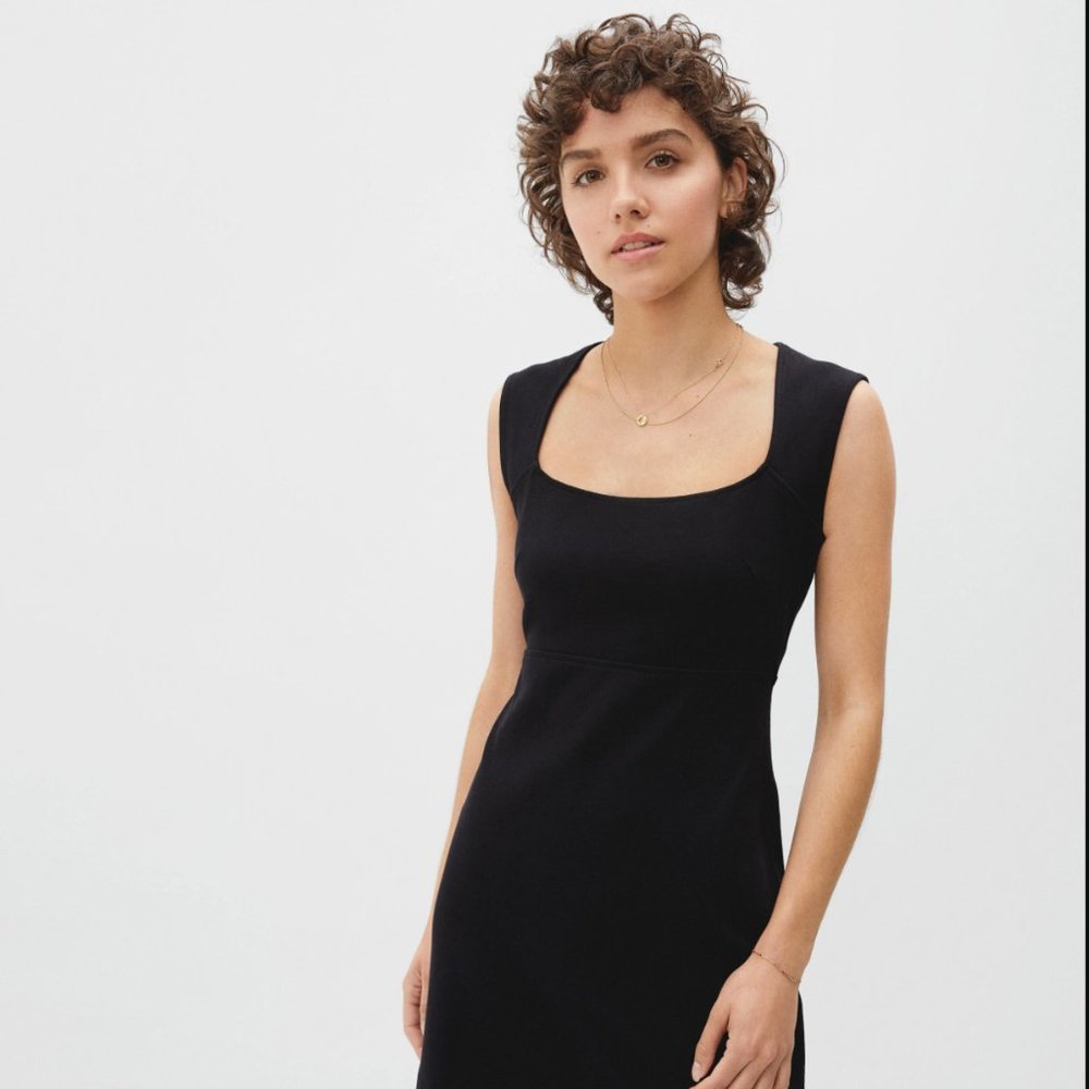 The 90's Mini Dress by Everlane (NWT)